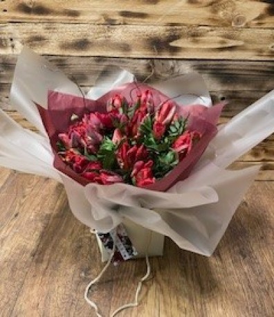 Red Tulip Aqua